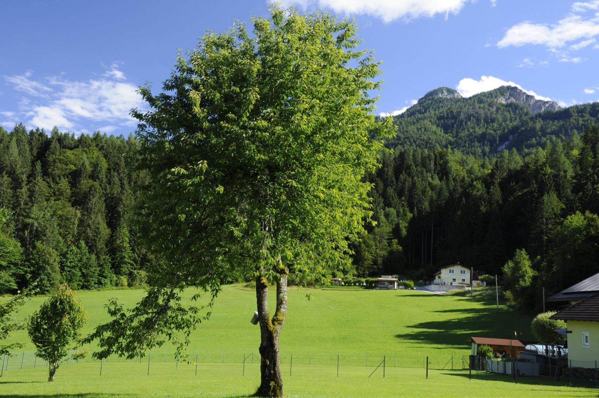 Das Stille Paradies Ledenitzen Exteriör bild